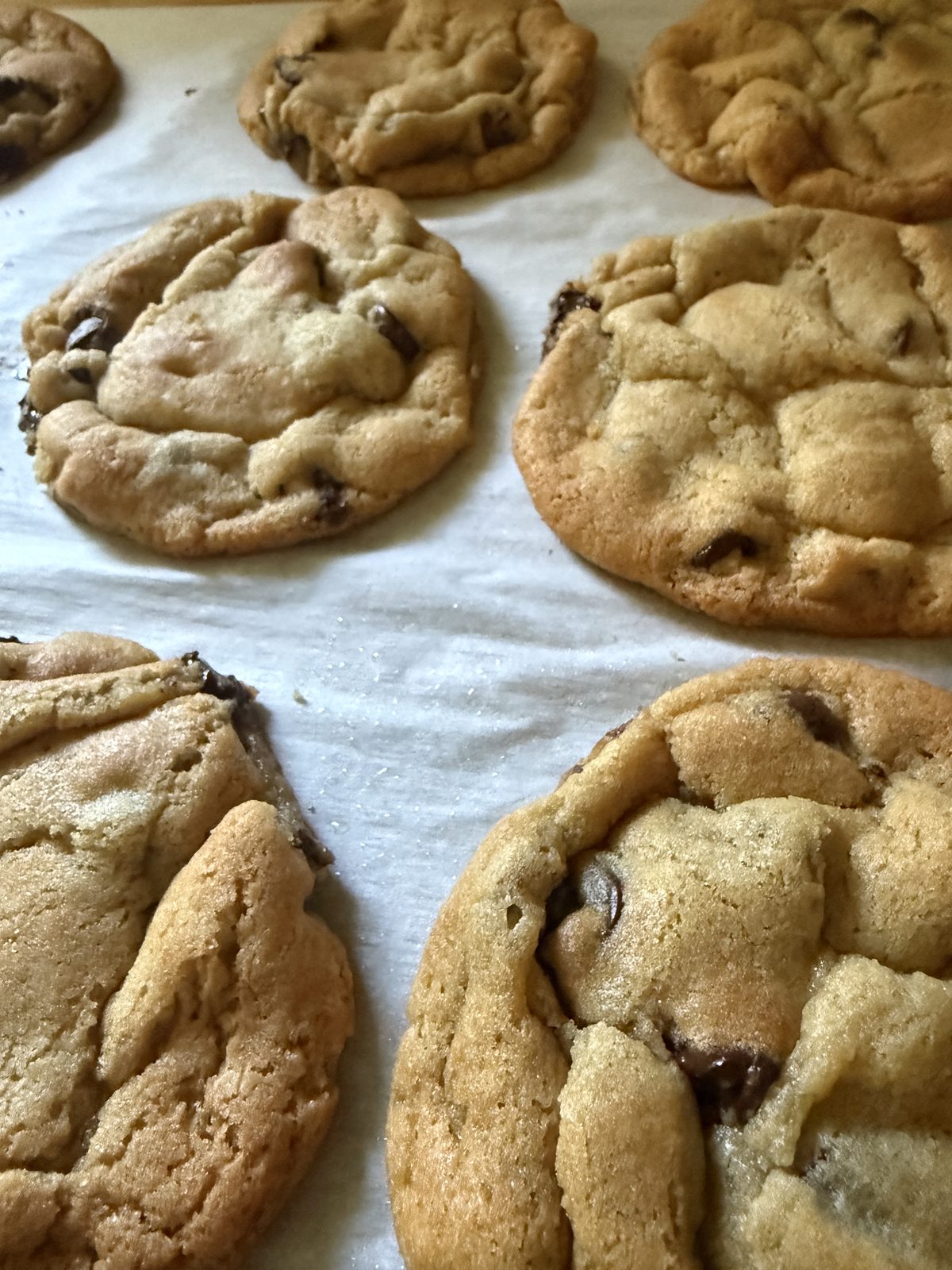 Half dozen Chocolate Chip Cookie